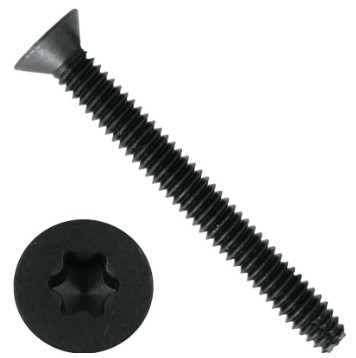 1/4" - 20 X 1-3/4" 6-Lobe (Torx) Drive Floortorx Screws, Black